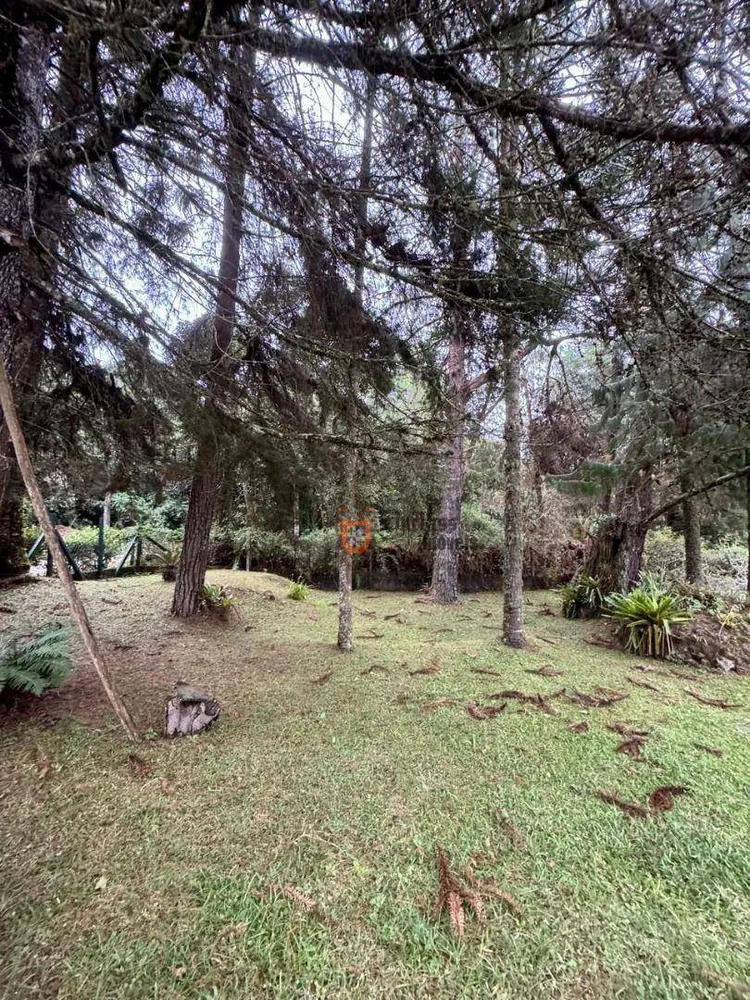 Casa, 4 quartos, 207 m² - Foto 4