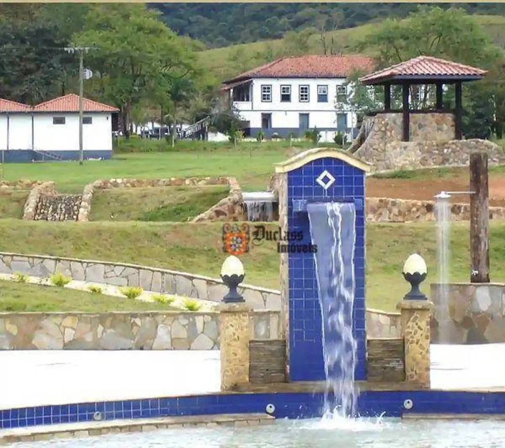 Fazenda, 133 hectares - Foto 4