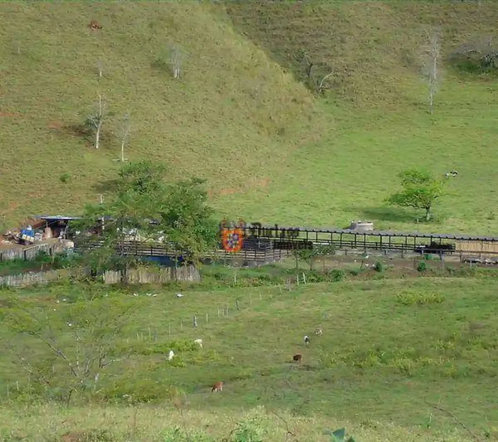 Fazenda, 133 hectares - Foto 1