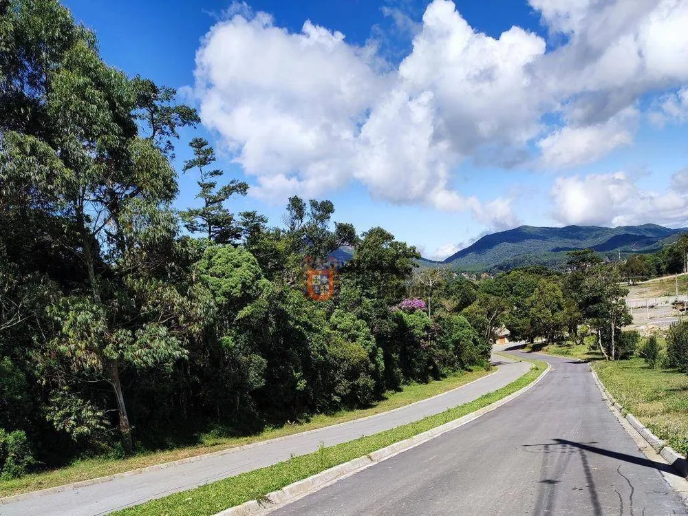 Loteamento e Condomínio, 1348 m² - Foto 3