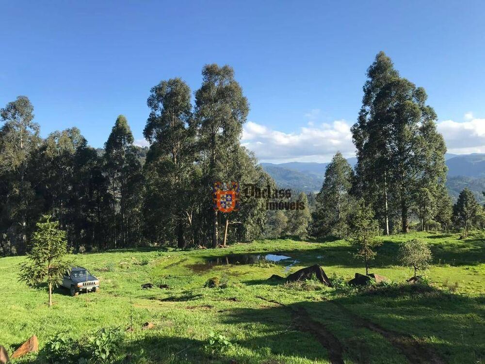 Sítio, 20 hectares - Foto 5