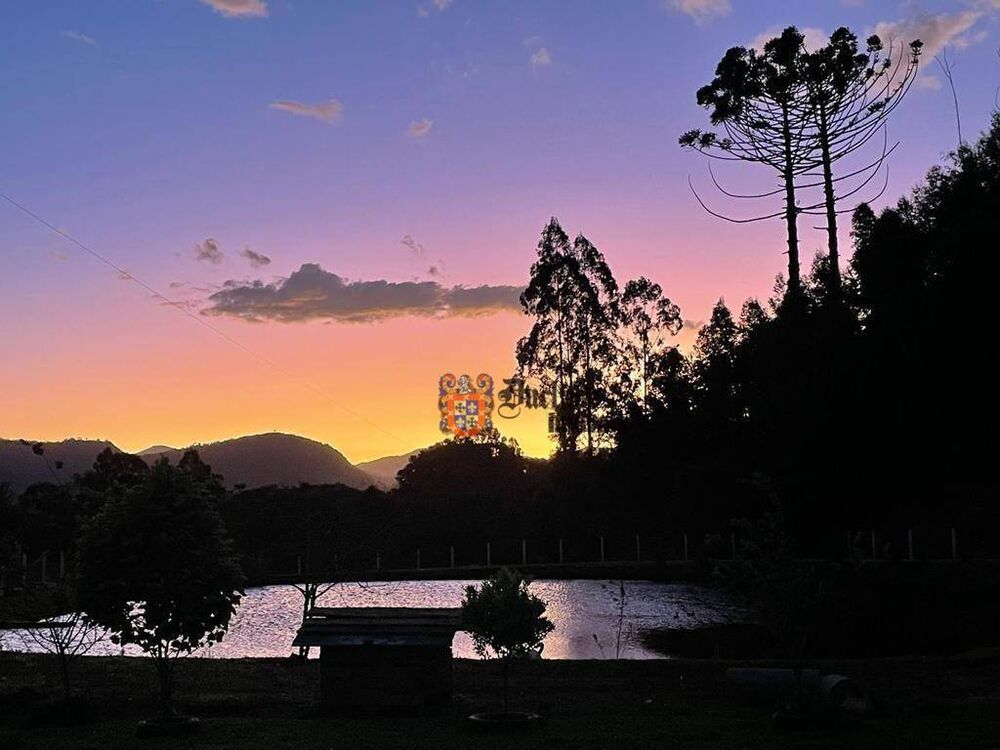 Sítio, 20 hectares - Foto 4