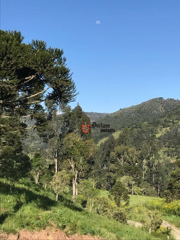 Sítio, 20 hectares - Foto 11