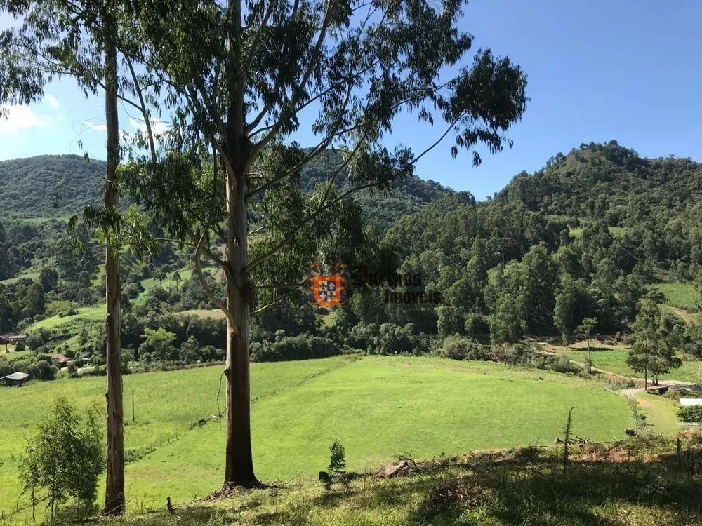 Sítio, 20 hectares - Foto 19
