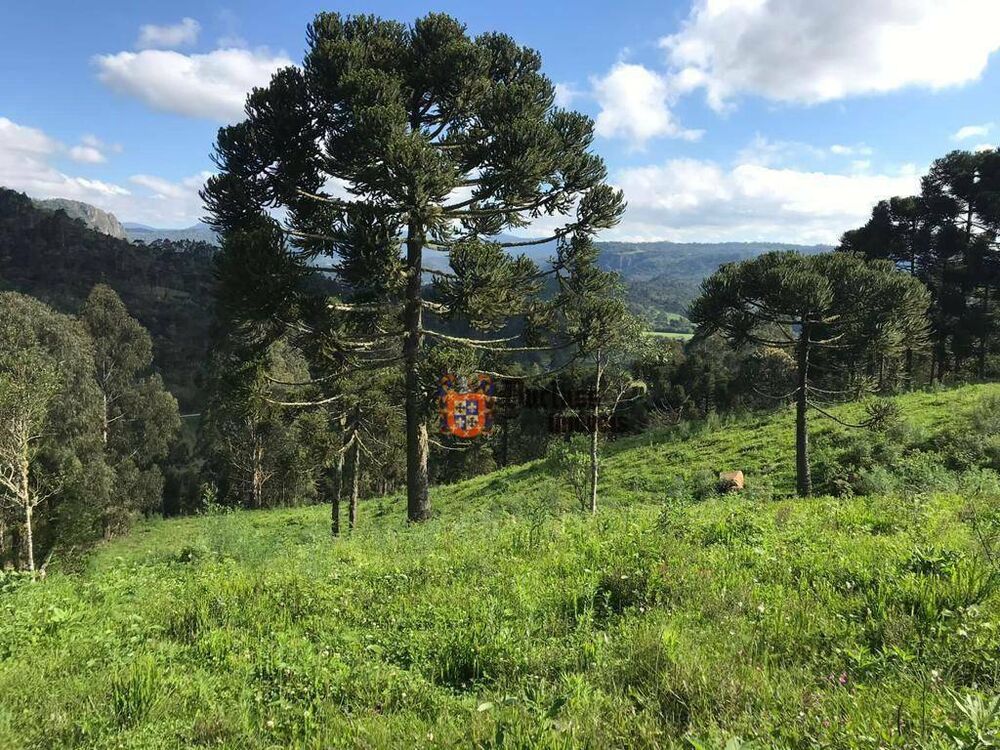 Sítio, 20 hectares - Foto 9