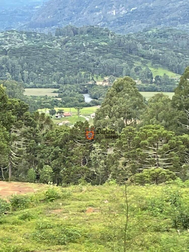 Sítio, 20 hectares - Foto 12