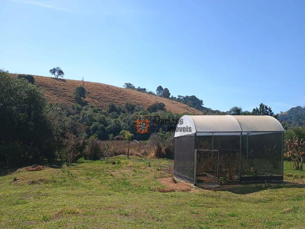 Sítio, 3 quartos, 3 hectares - Foto 4