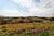 Terreno, 3000 m² - Foto 4