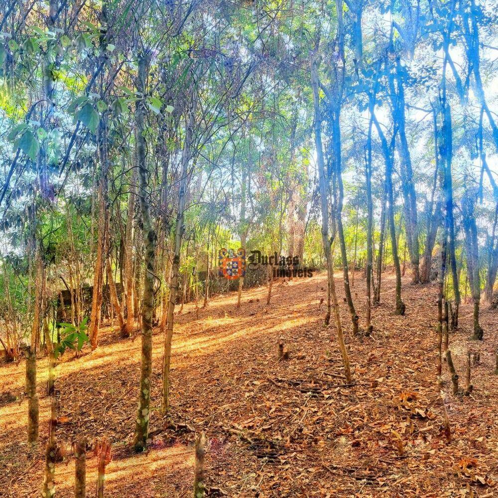 Terreno, 2670 m² - Foto 3