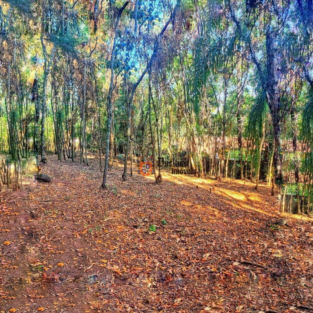 Terreno, 2670 m² - Foto 4