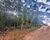 Terreno, 2670 m² - Foto 2
