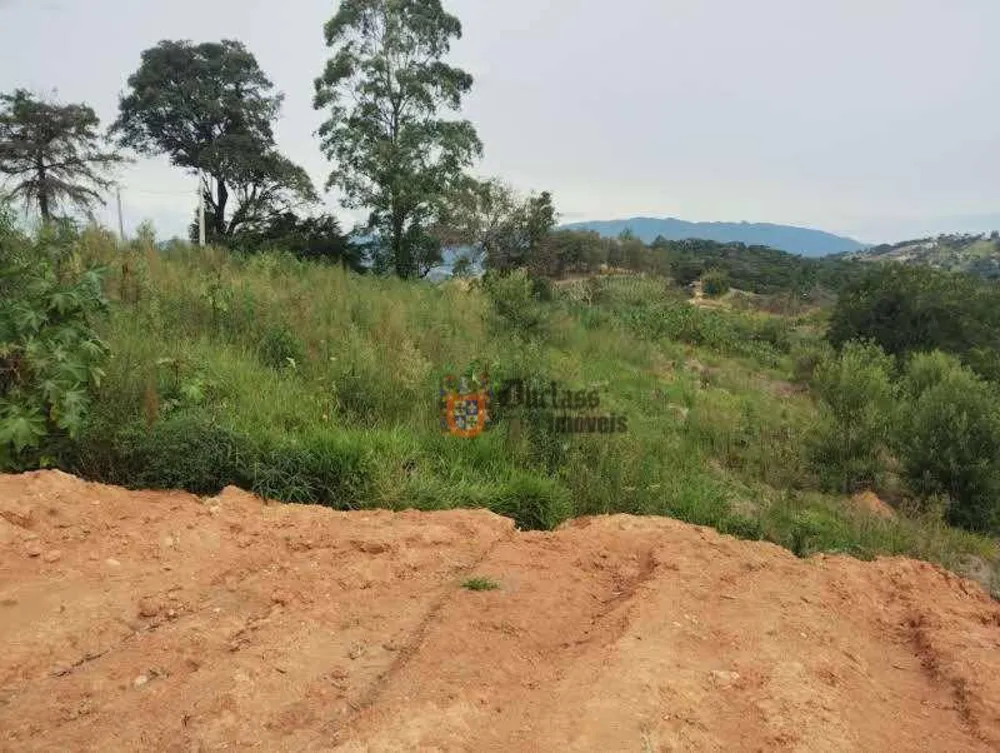 Terreno, 8000 m² - Foto 8