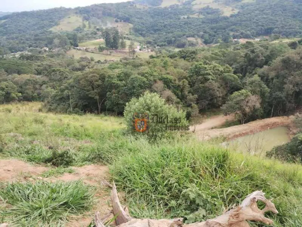 Terreno, 8000 m² - Foto 2