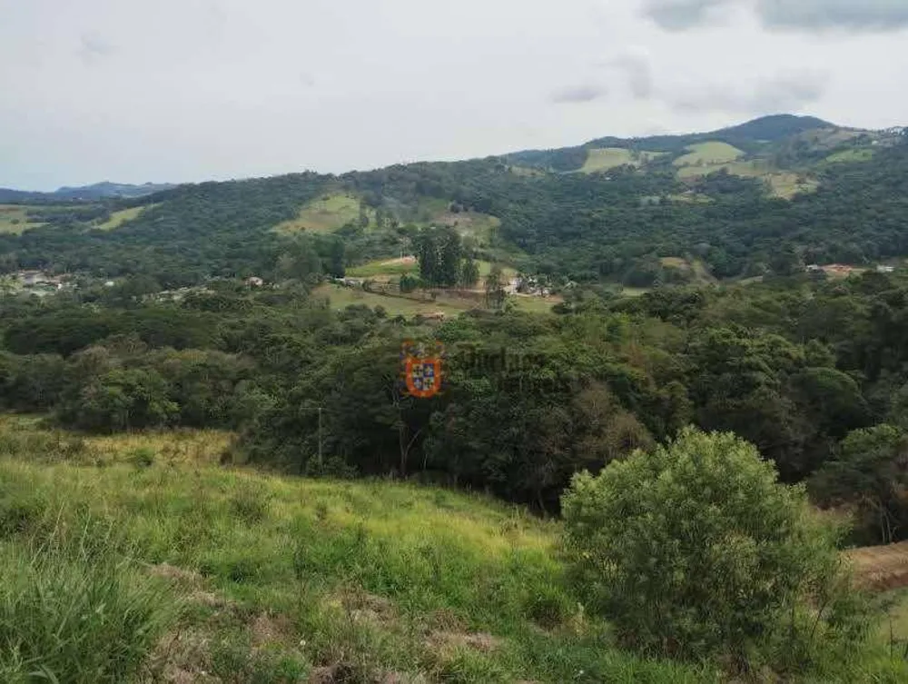 Terreno, 8000 m² - Foto 5