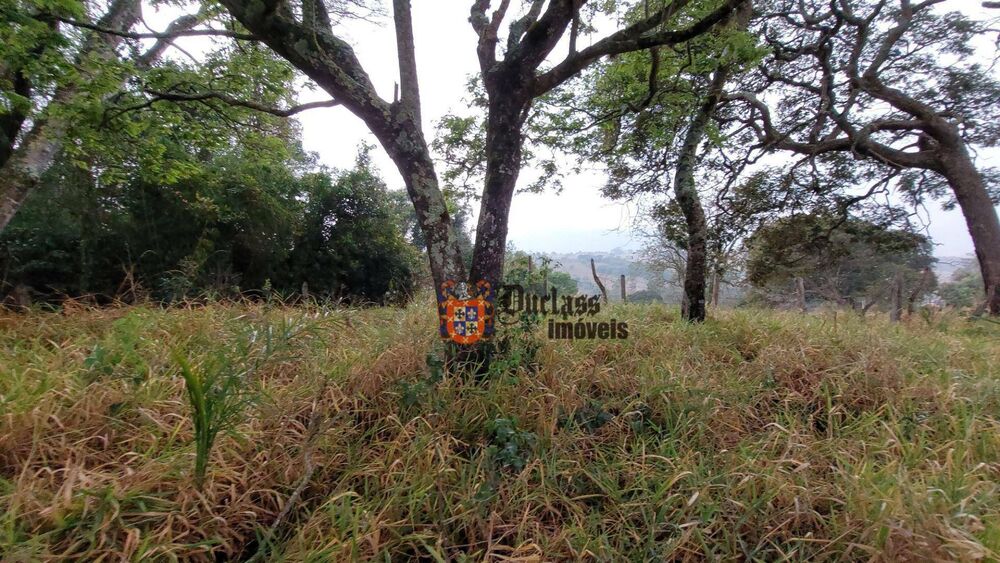 Terreno, 9200 m² - Foto 9