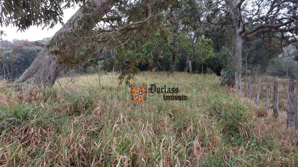 Terreno, 9200 m² - Foto 4