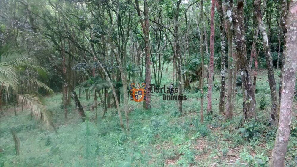 Terreno, 9200 m² - Foto 11