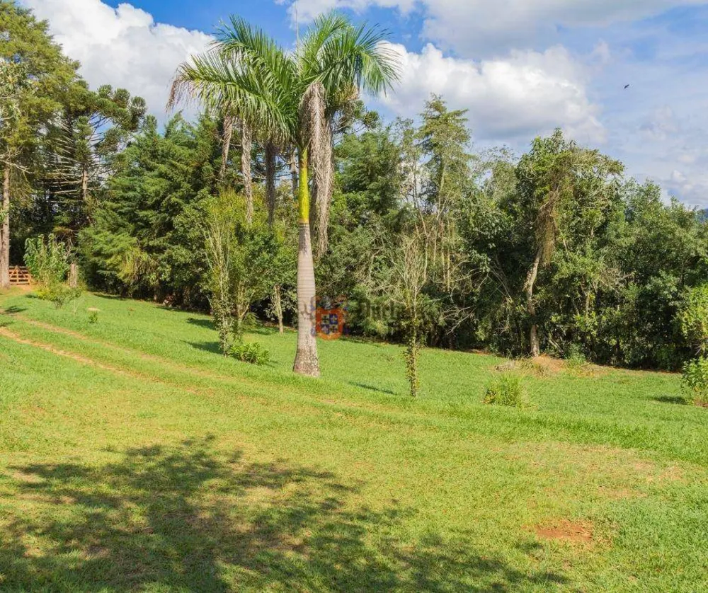 Sítio, 7 quartos, 3 hectares - Foto 4