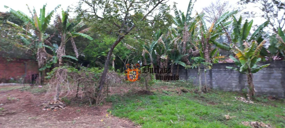 Terreno, 2000 m² - Foto 3