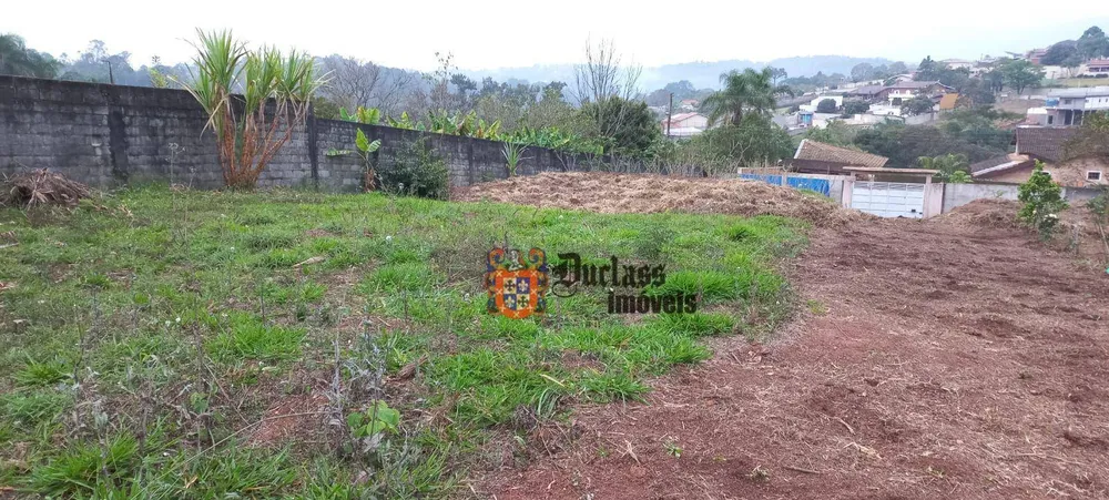 Terreno, 2000 m² - Foto 6
