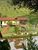 Sítio, 4 quartos, 2 hectares - Foto 3