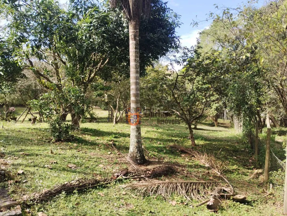 Chácara, 2 quartos, 5000 m² - Foto 8