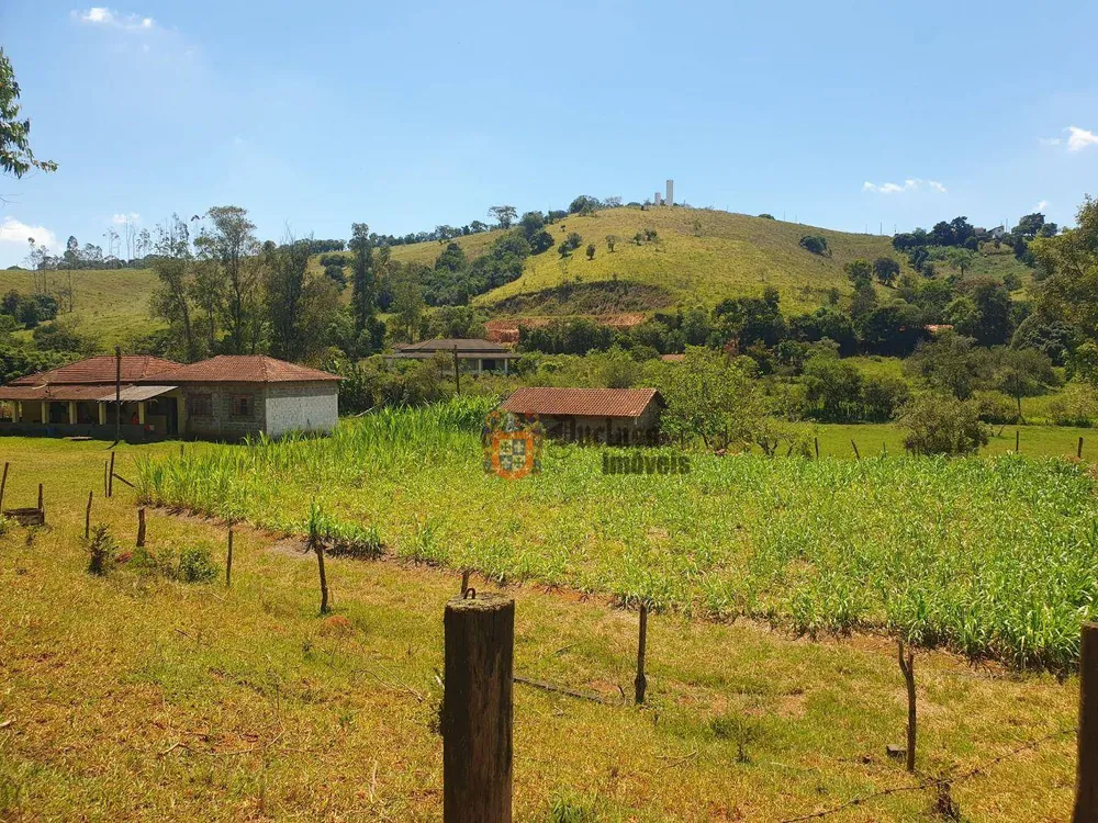 Sítio, 6 quartos, 3 hectares - Foto 1