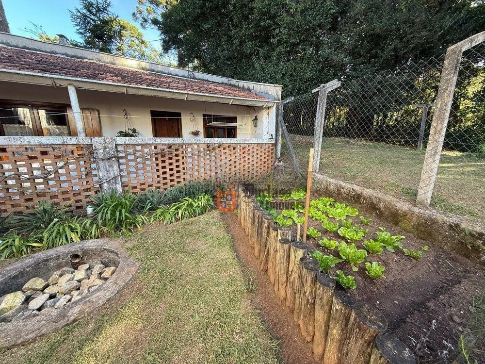 Casa, 4 quartos, 267 m² - Foto 3