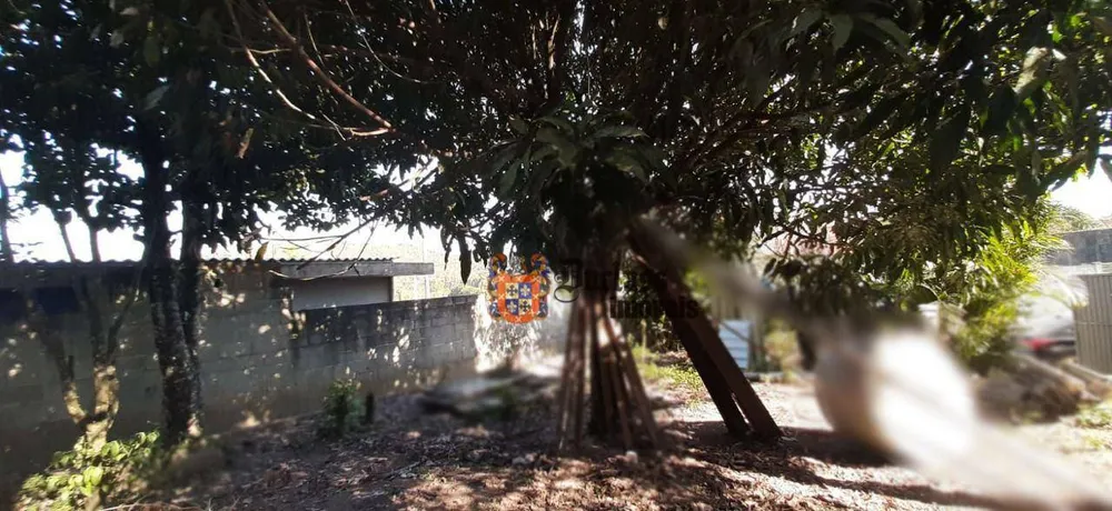 Chácara, 1 quarto, 600 m² - Foto 12