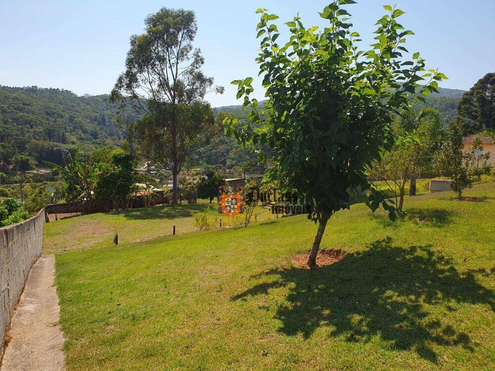 Chácara, 2 quartos, 2200 m² - Foto 3