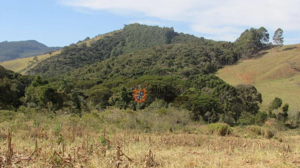 Terreno, 5 hectares - Foto 4