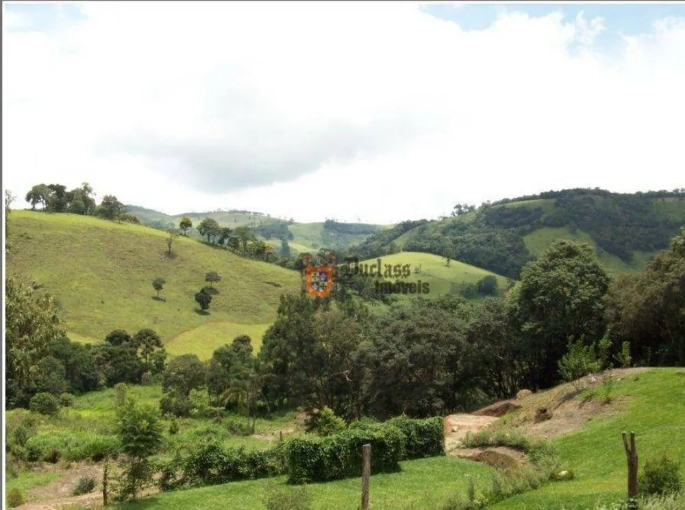 Terreno, 5 hectares - Foto 4