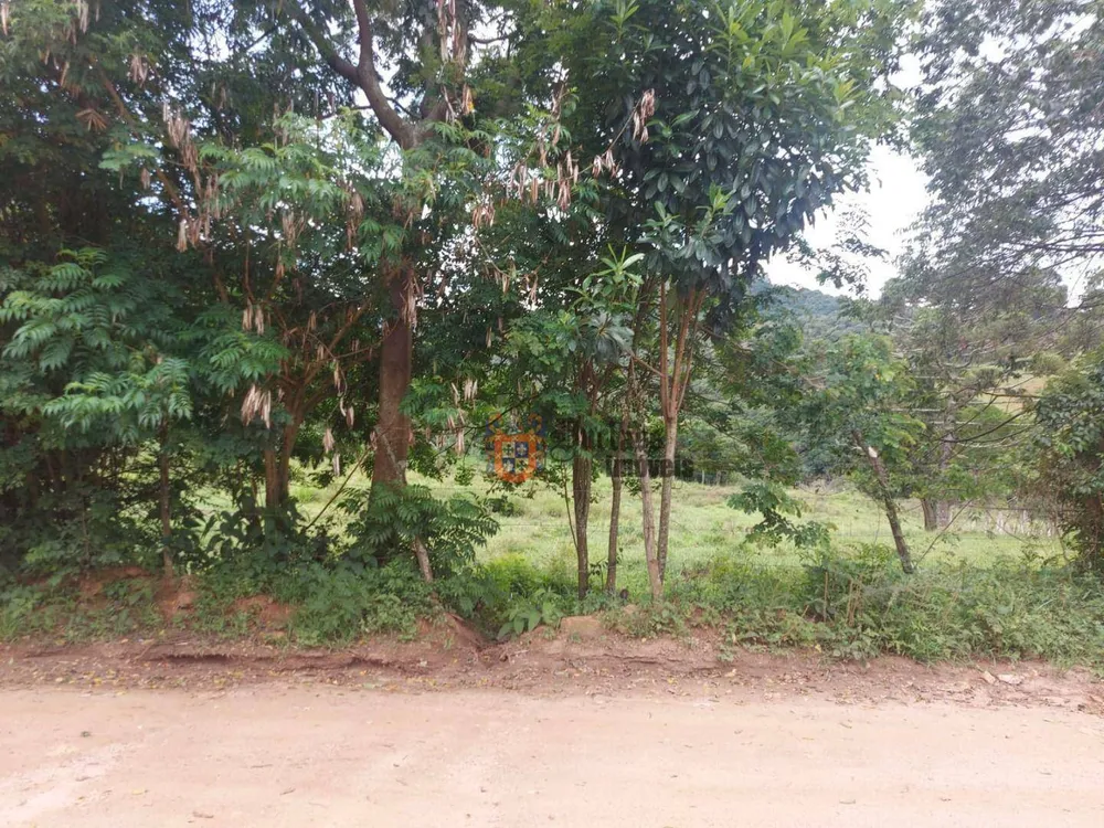 Terreno, 5 hectares - Foto 3