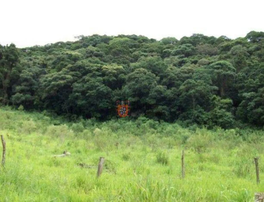 Terreno, 5 hectares - Foto 5