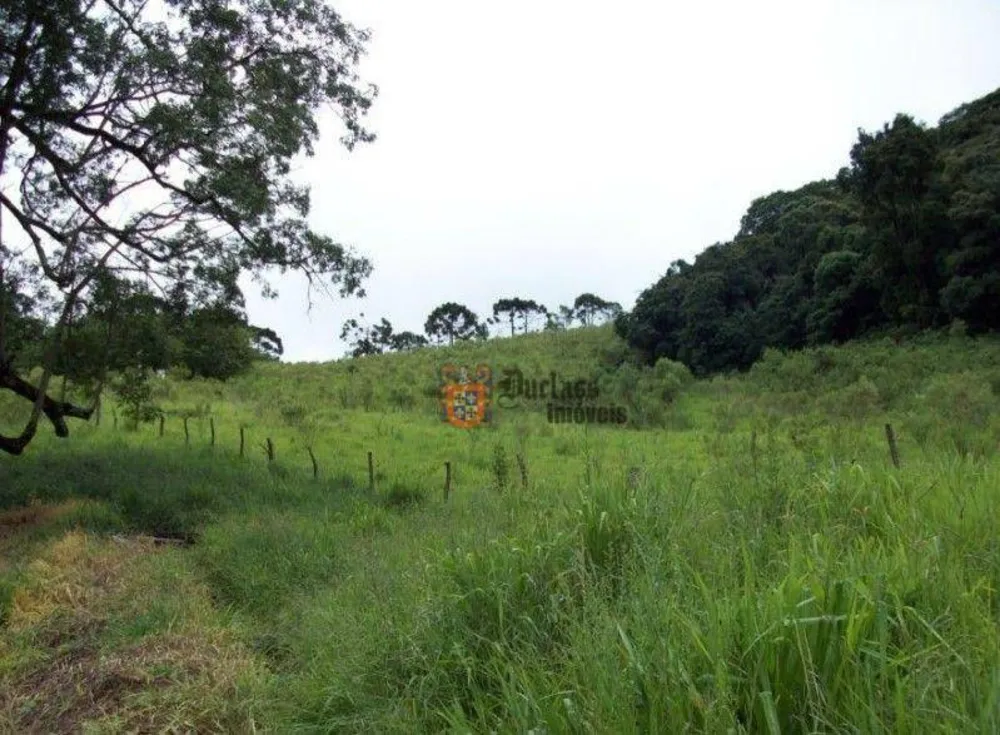Terreno, 5 hectares - Foto 2