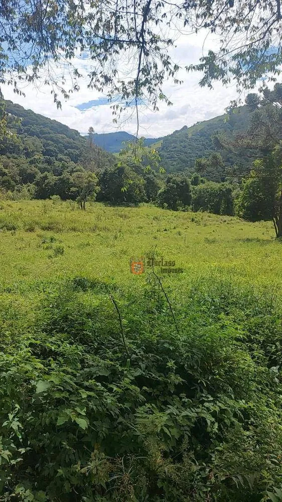 Terreno, 5 hectares - Foto 1