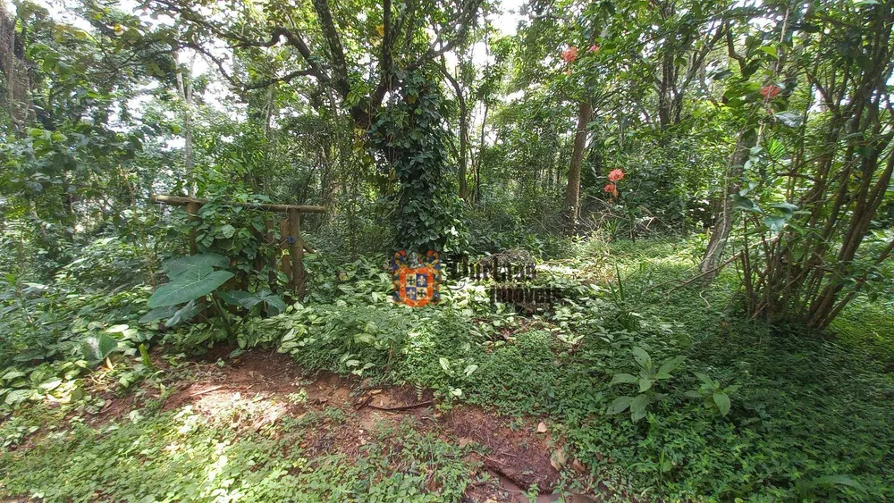 Terreno, 3701 m² - Foto 7