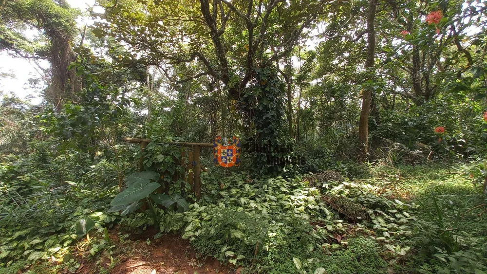 Terreno, 3701 m² - Foto 8