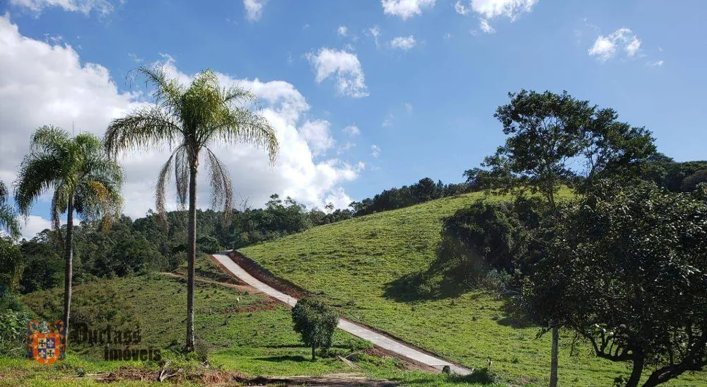 Loteamento e Condomínio, 2 hectares - Foto 2