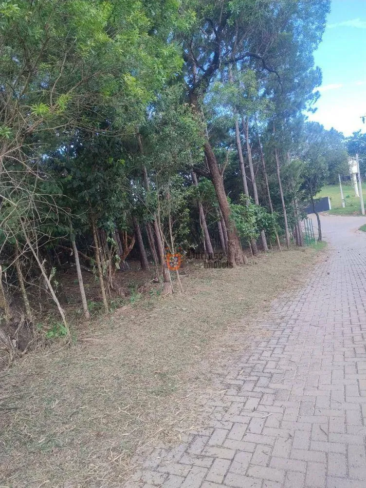 Loteamento e Condomínio, 2 hectares - Foto 1