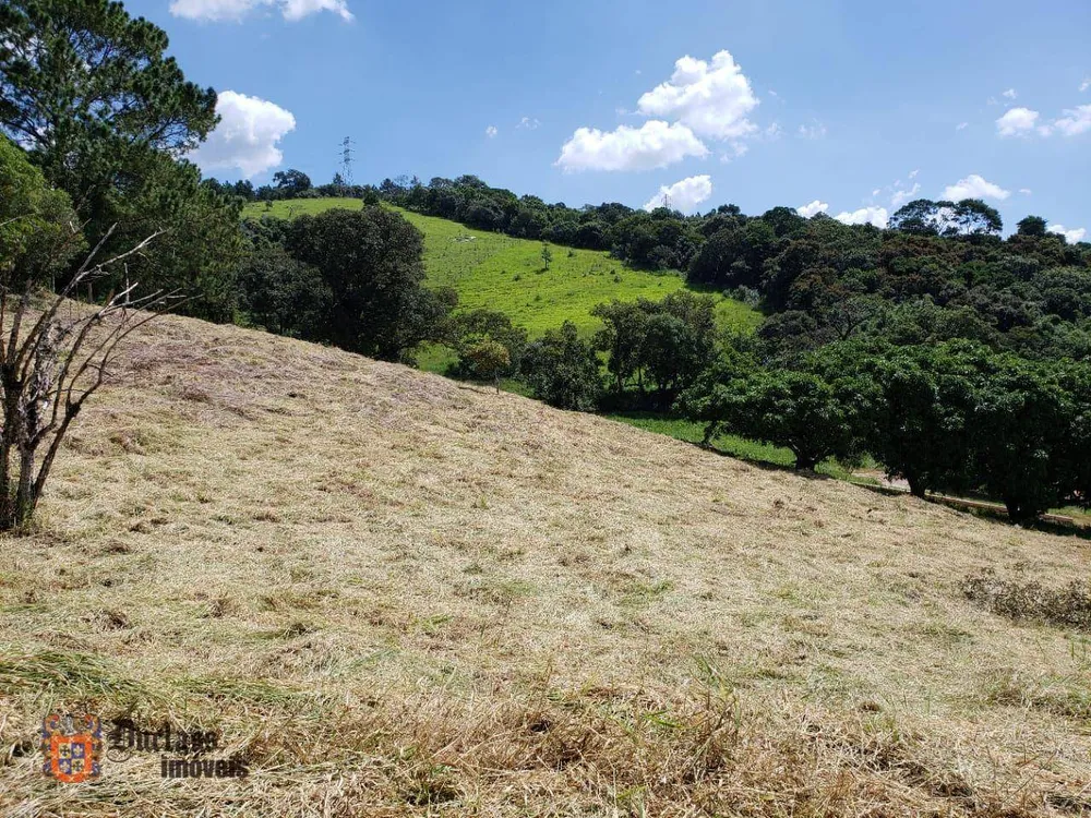 Loteamento e Condomínio, 2 hectares - Foto 6