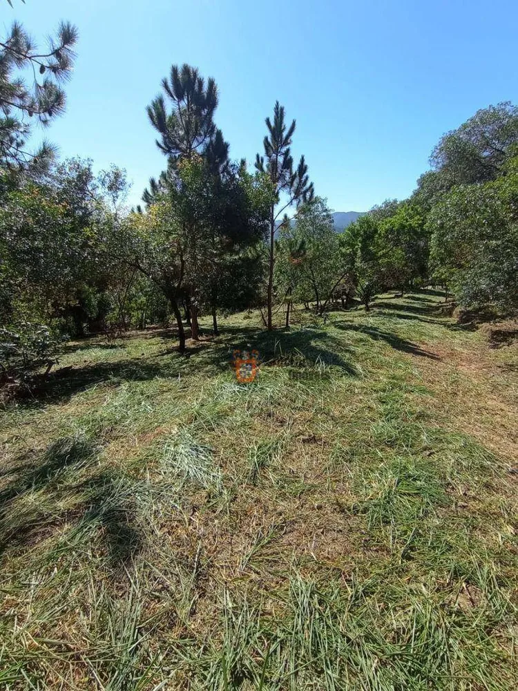 Loteamento e Condomínio, 2 hectares - Foto 3