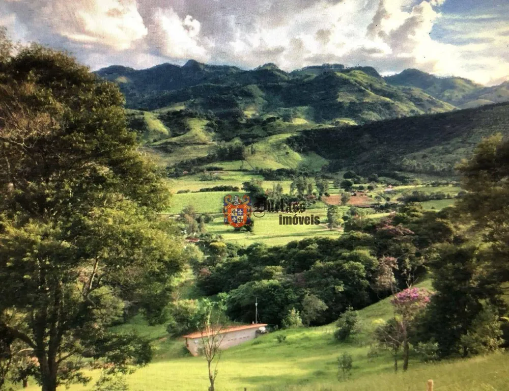 Chácara, 2 quartos, 6000 m² - Foto 3