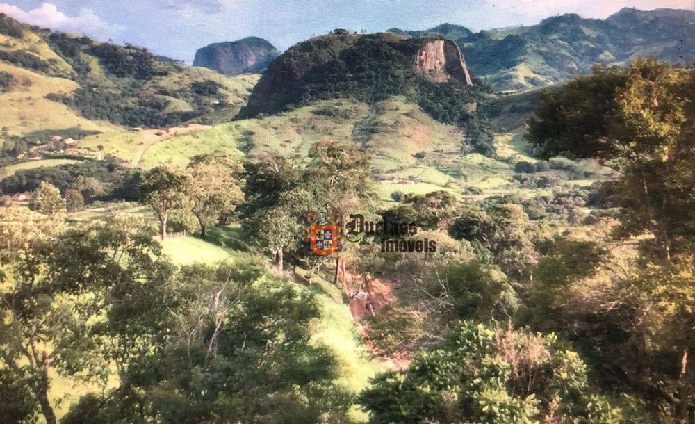 Chácara, 2 quartos, 6000 m² - Foto 4