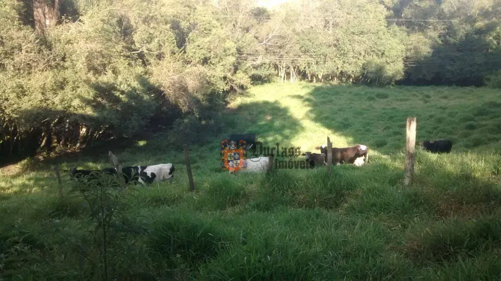 Chácara, 6 quartos, 2 hectares - Foto 7