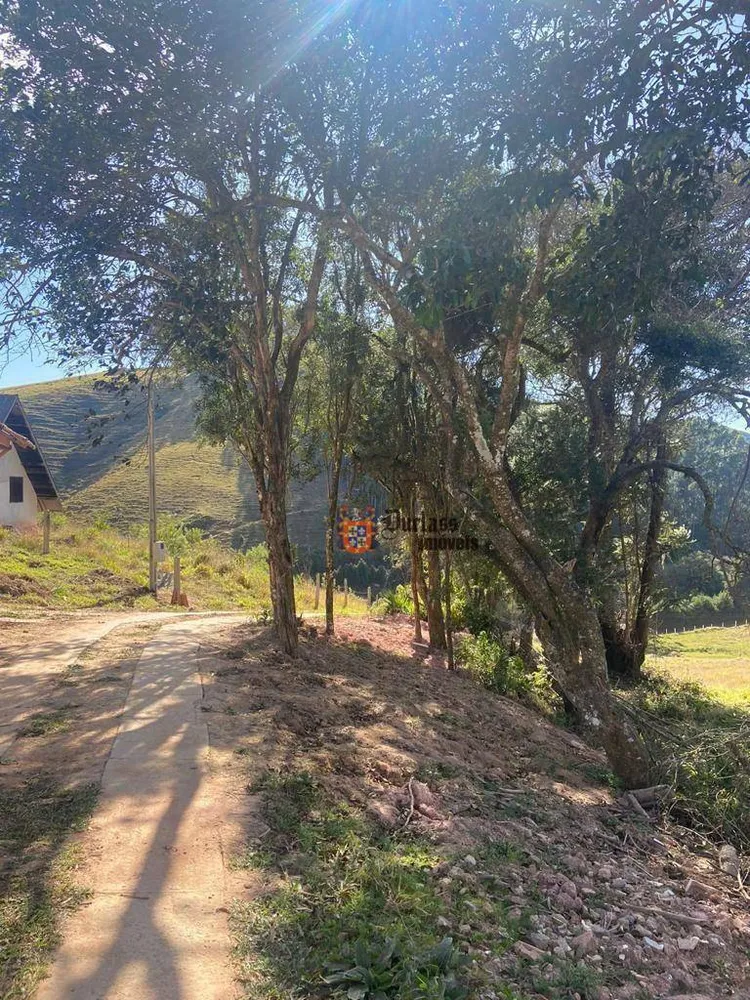 Terreno, 2958 m² - Foto 5