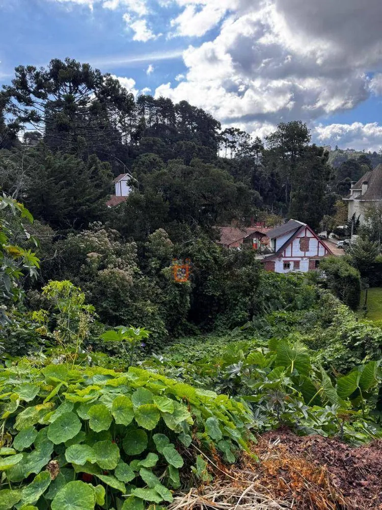 Terreno, 850 m² - Foto 3