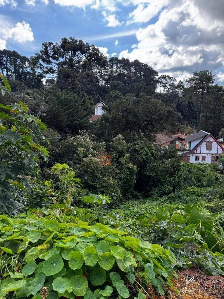 Terreno, 850 m² - Foto 2