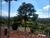 Sítio, 3 quartos, 3 hectares - Foto 7