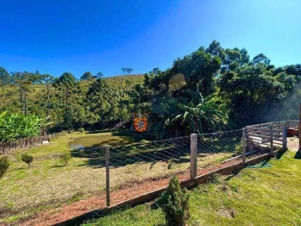Chácara, 3 quartos, 8000 m² - Foto 12